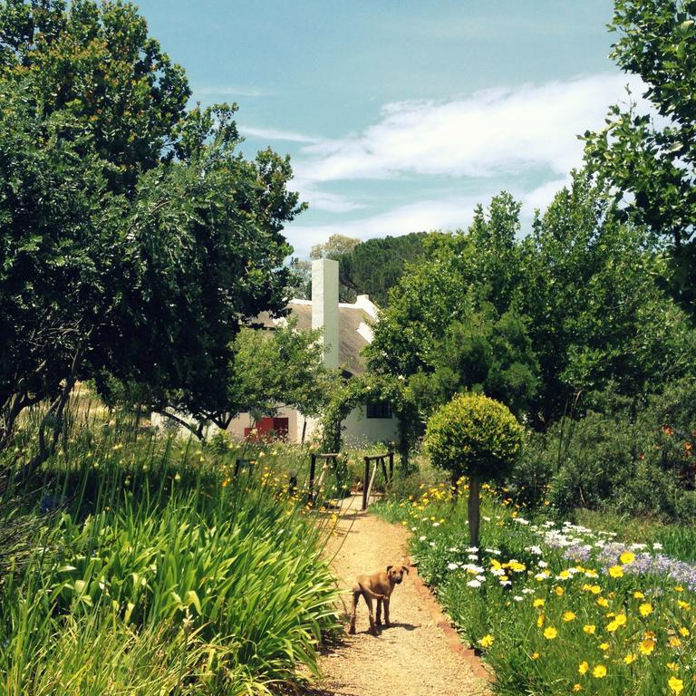 Vila Mooi Bly Paarl Pokoj fotografie