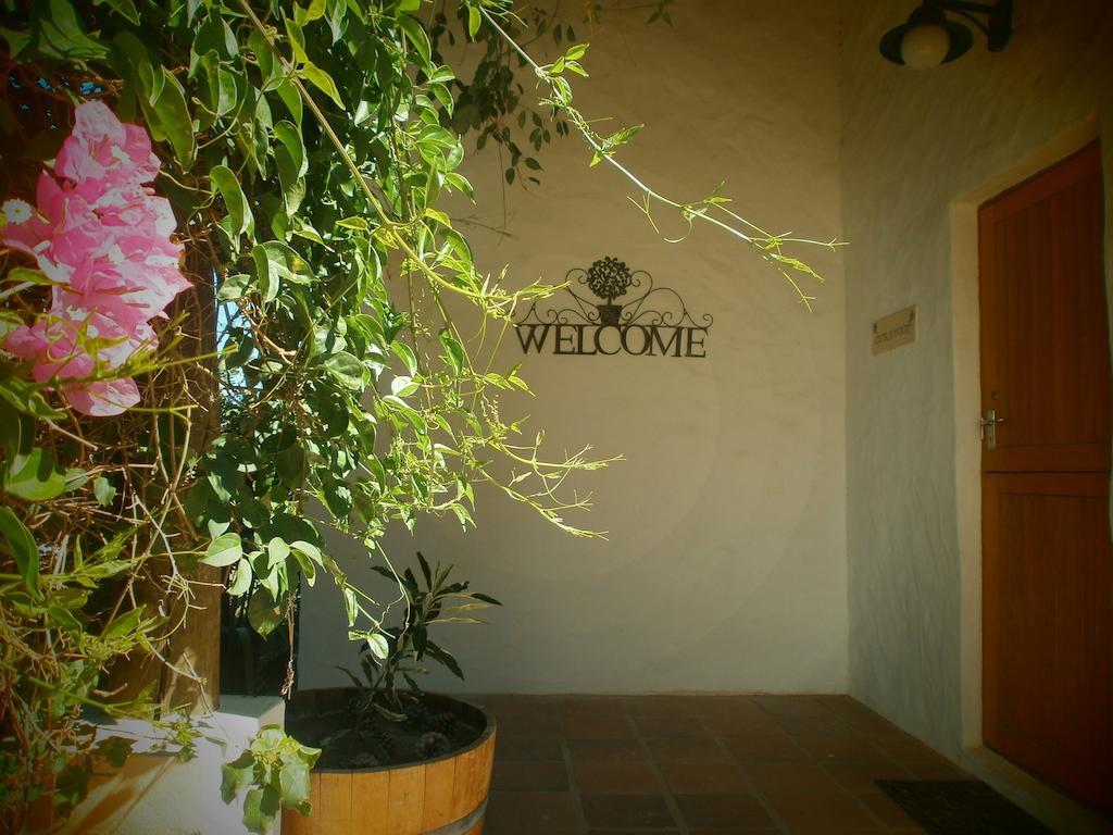 Vila Mooi Bly Paarl Exteriér fotografie