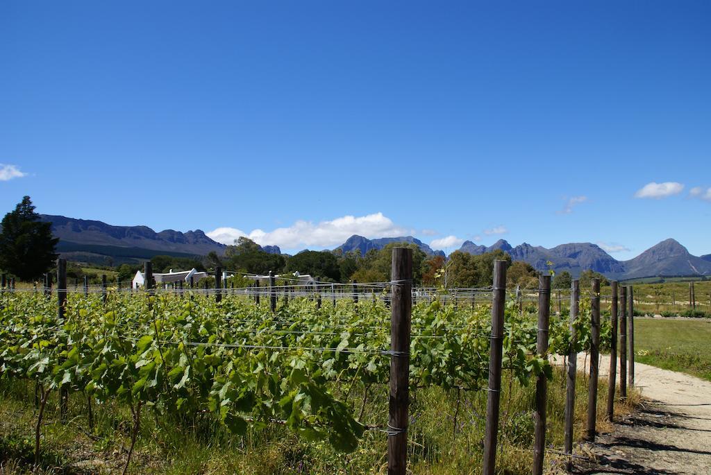 Vila Mooi Bly Paarl Exteriér fotografie