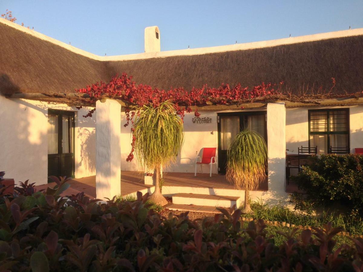 Vila Mooi Bly Paarl Exteriér fotografie