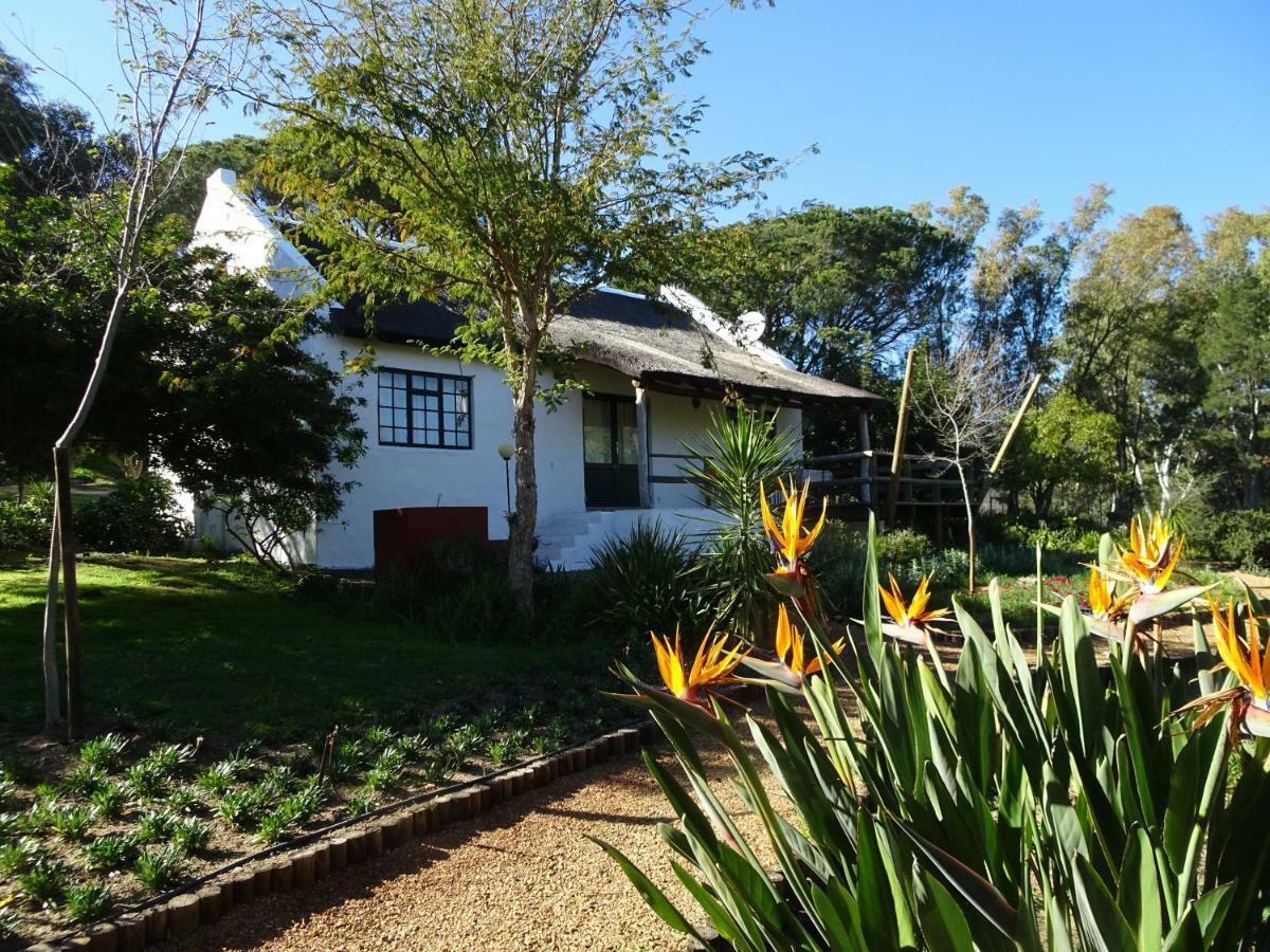 Vila Mooi Bly Paarl Exteriér fotografie