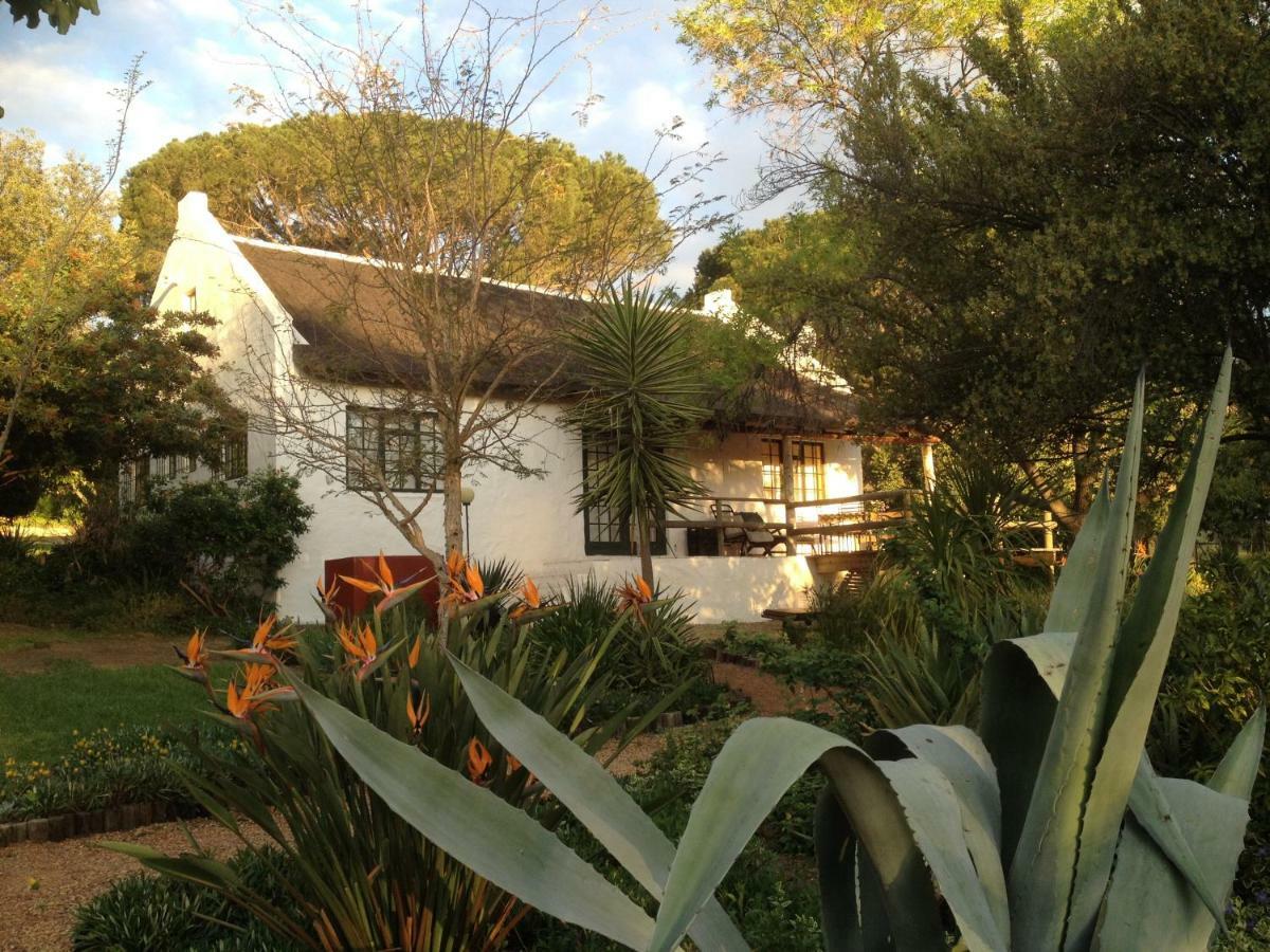 Vila Mooi Bly Paarl Exteriér fotografie